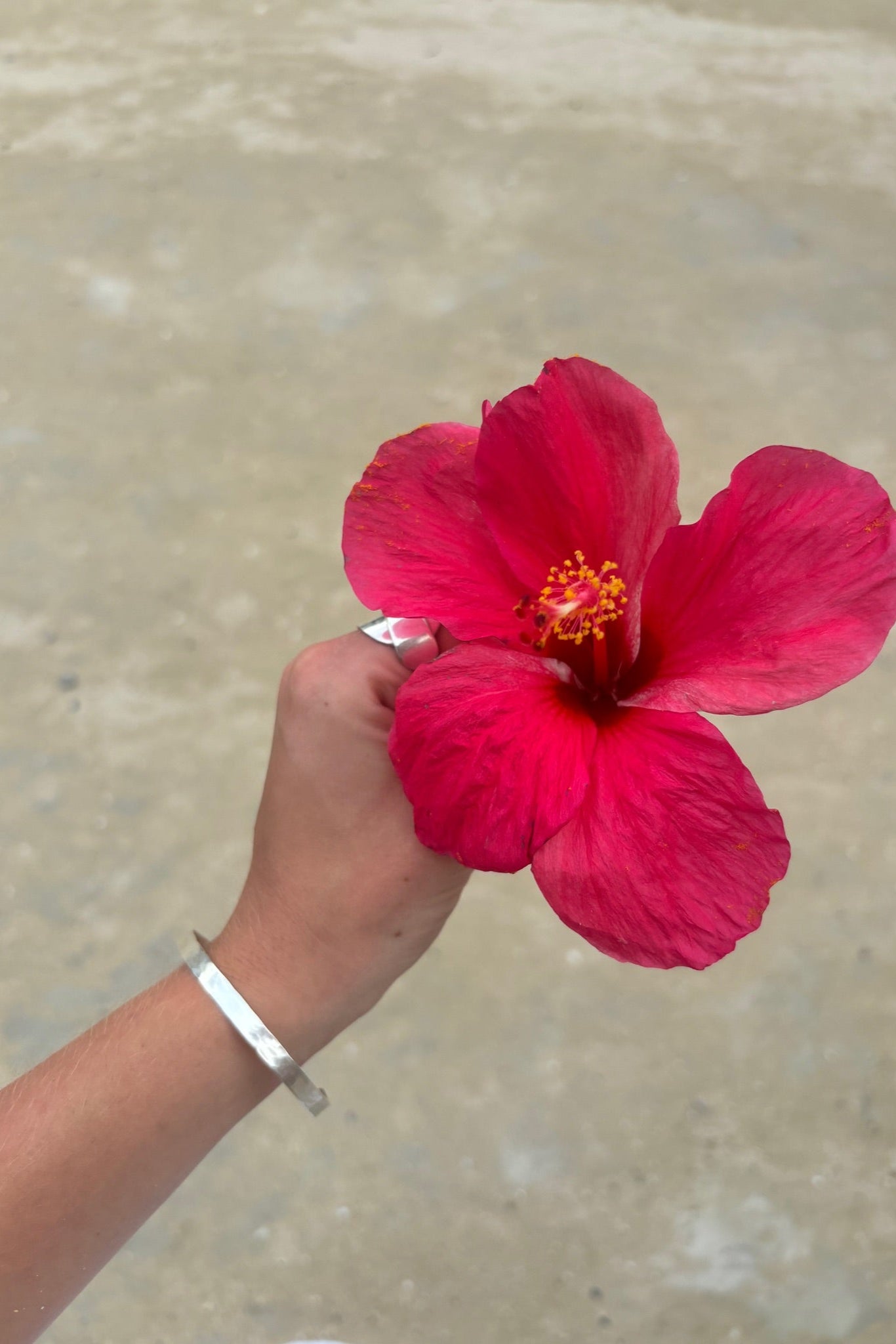 Hammered Cuff Bangle